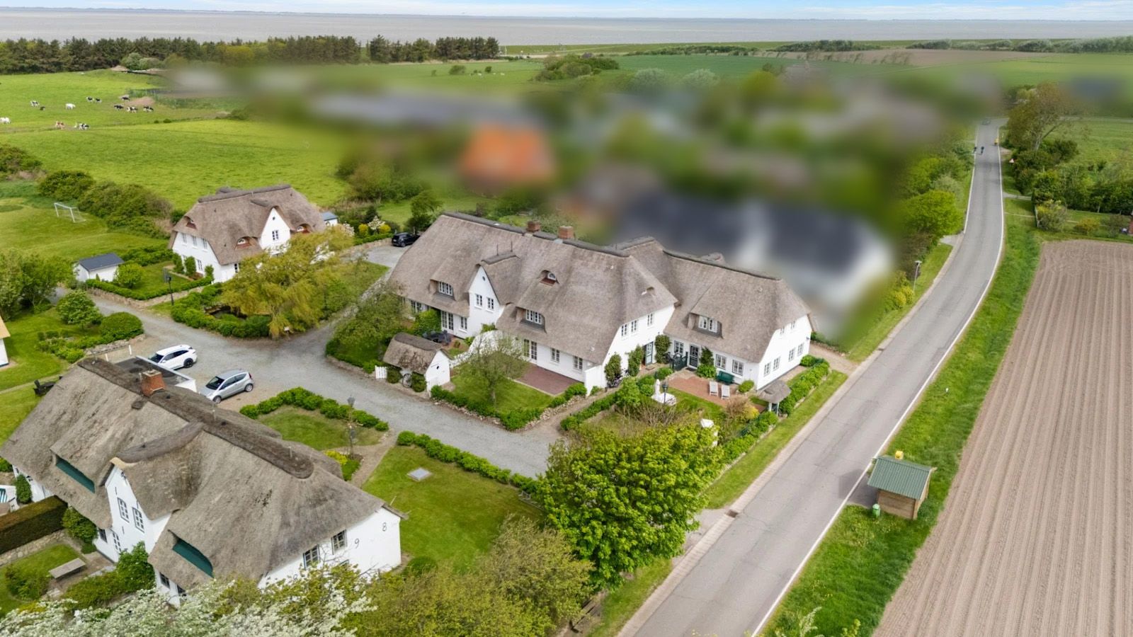 Luftaufnahme von Reetdachhäusern neben einer Straße und von Feldern umgeben.