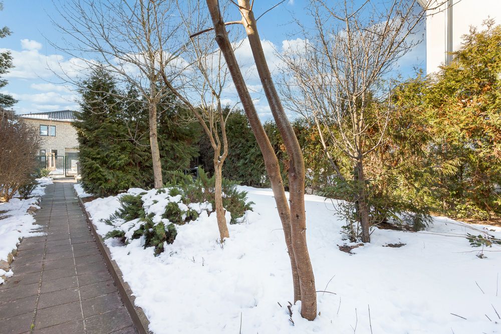 Garten mit schneebedecktem Boden, Bäumen und einem Weg aus Pflastersteinen.