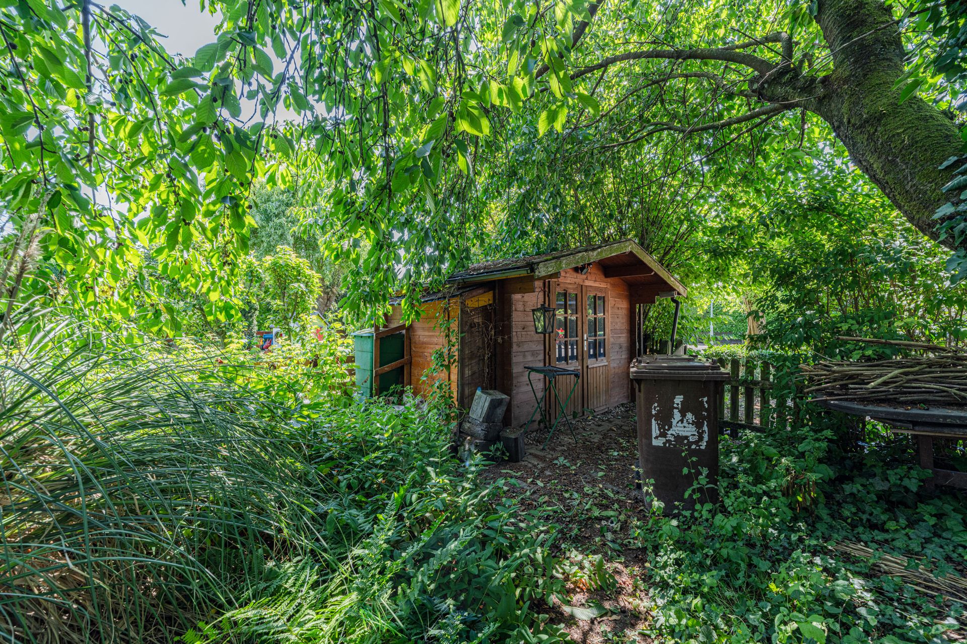 Kleines Holzhaus im grünen, bewachsenen Garten mit Mülltonne und dichten Büschen.