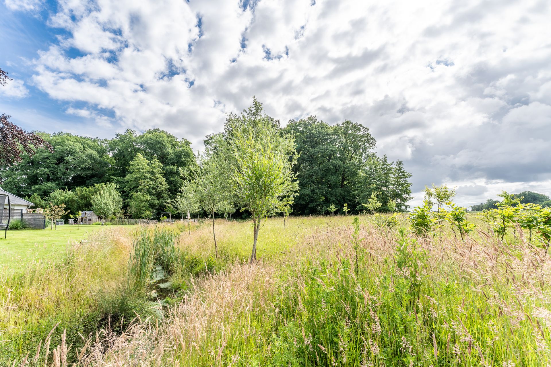 Weitläufiger Garten mit Wiese, kleinen Bäumen und Wassergraben, umgeben von Bäumen.