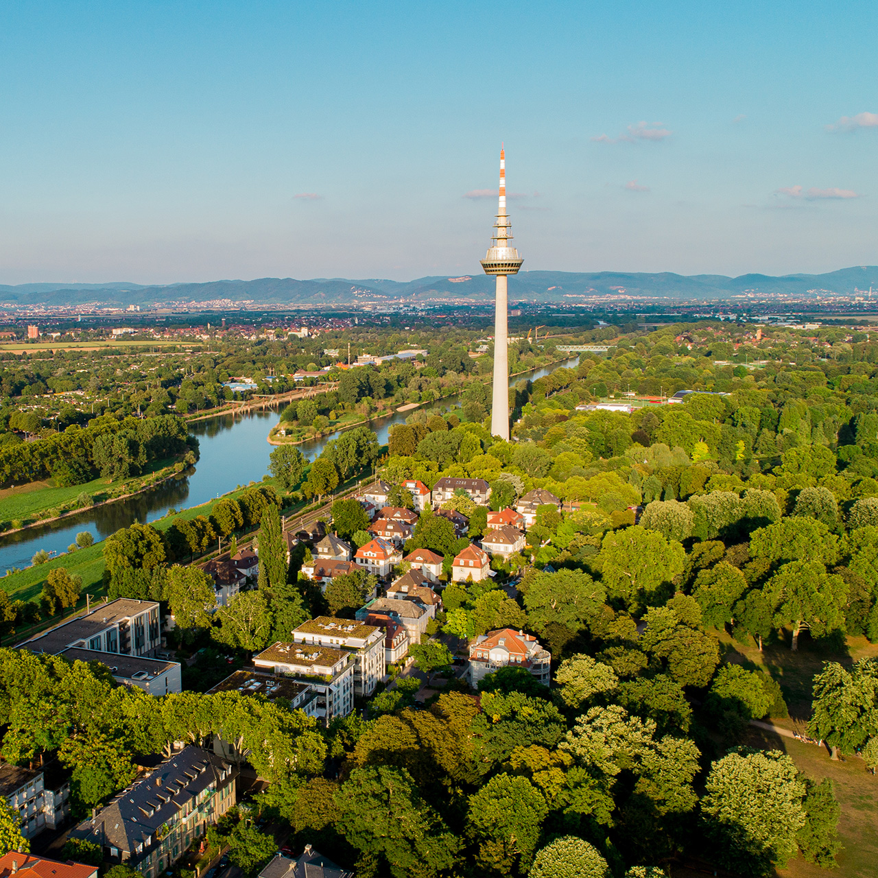 Luftaufnahme von Wohnhäusern, viel Grün und einem Fluss mit einem Fernmeldeturm im Hintergrund.