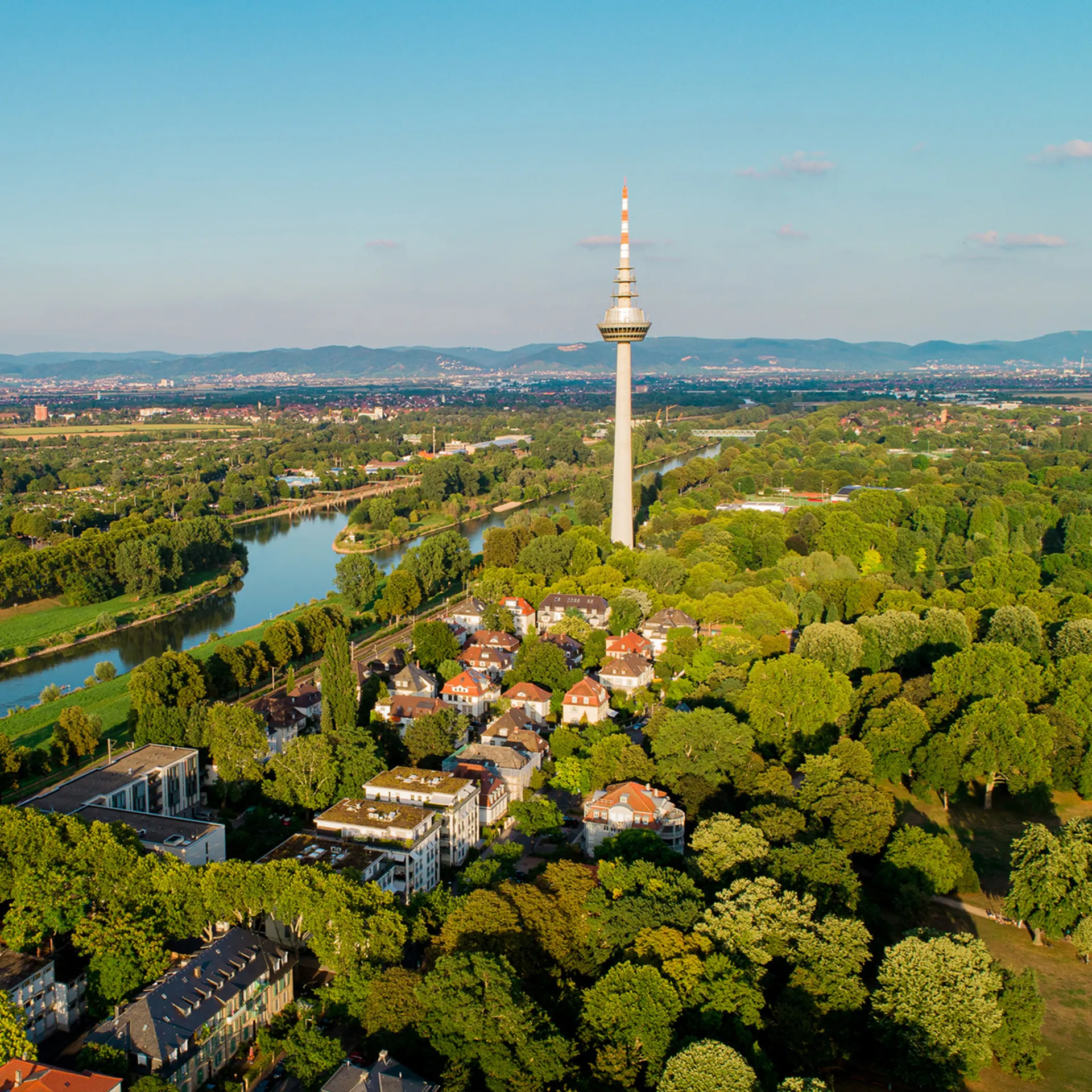 Luftaufnahme von Wohnhäusern, viel Grün und einem Fluss mit einem Fernmeldeturm im Hintergrund.