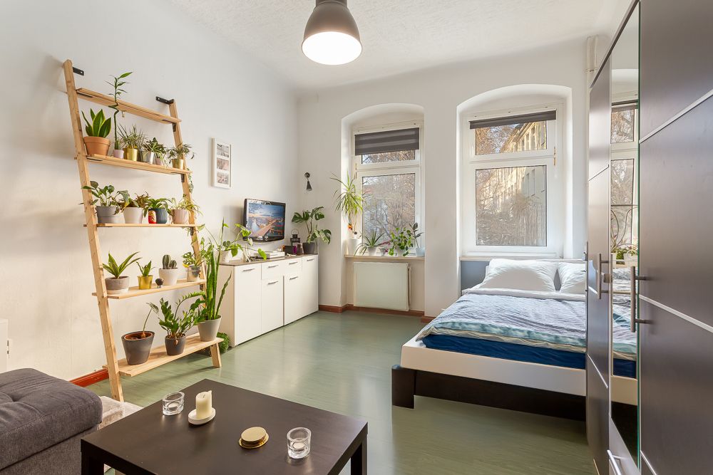 Helles Schlafzimmer mit Bett, Pflanzenregal, Couchtisch und großen Fenstern.