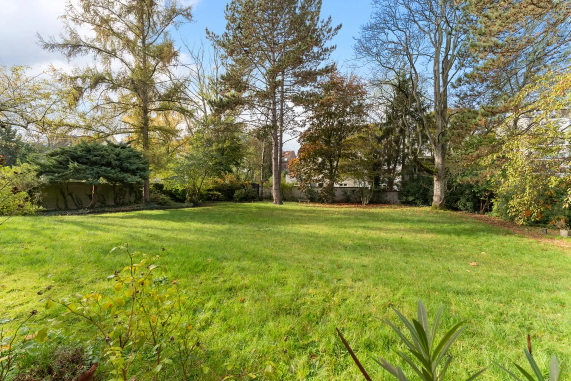 Großer Garten mit grünem Rasen, Bäumen und Sträuchern an einem sonnigen Tag.