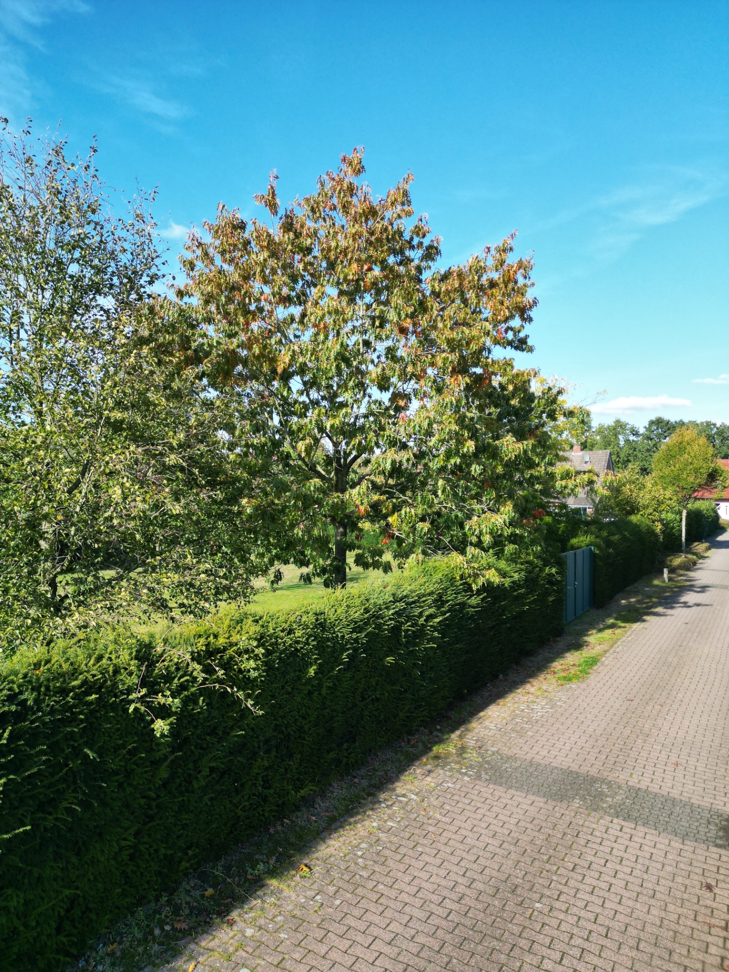Umgebung