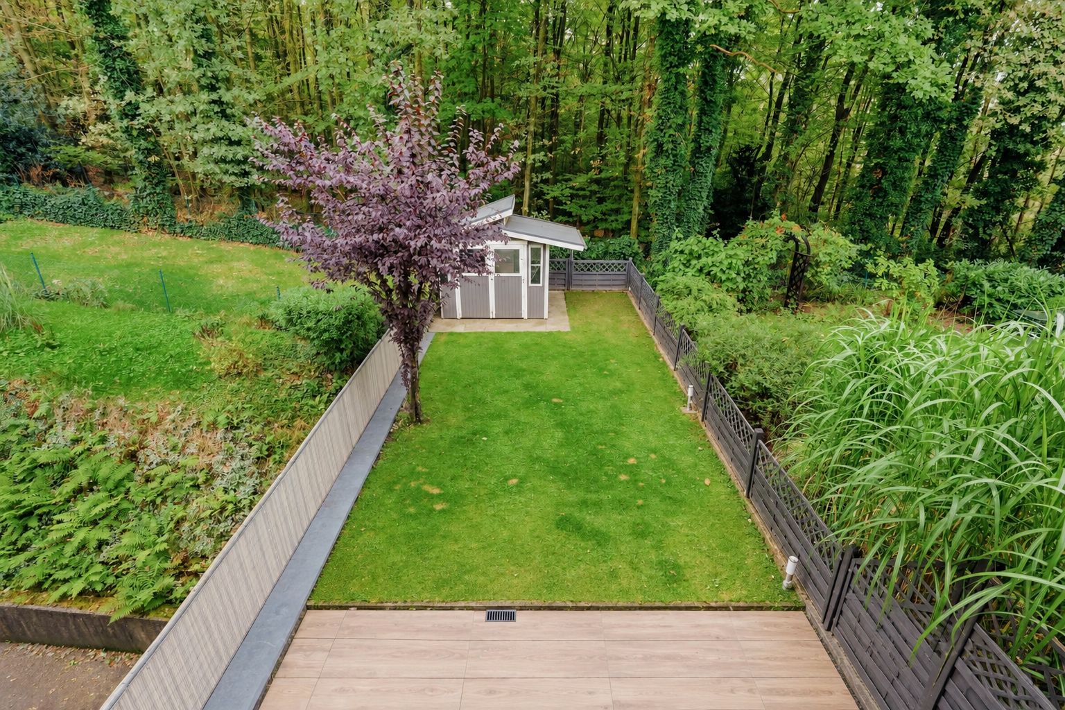 Garten mit Rasenfläche, Baum, Gartenhaus und angrenzendem Wald im Hintergrund.