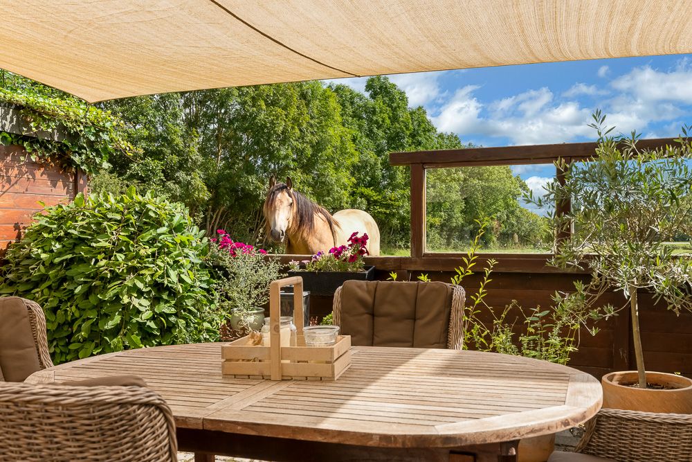 Überdachte Terrasse mit Holztisch, Pflanzen und Blick auf ein Pferd im Garten.