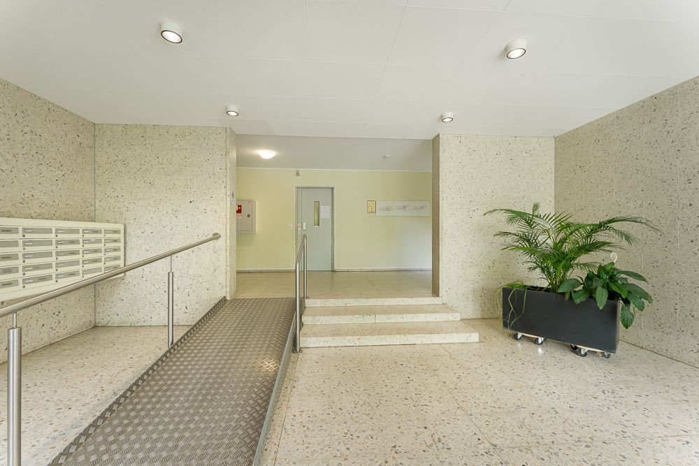 Heller Eingangsbereich mit Briefkästen, Rampe, Treppe und einer großen Pflanze.