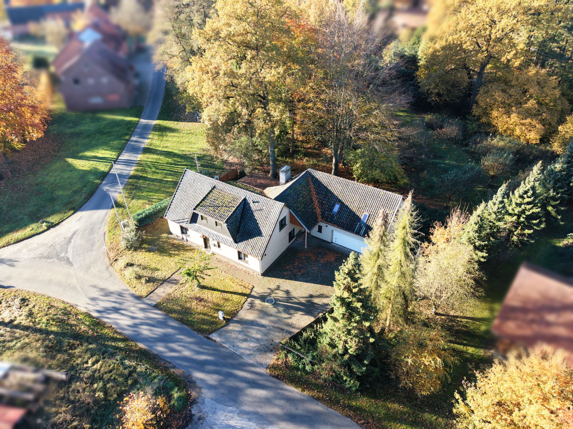 Luftaufnahme eines Einfamilienhauses mit Garten und umliegenden Bäumen im Herbst.