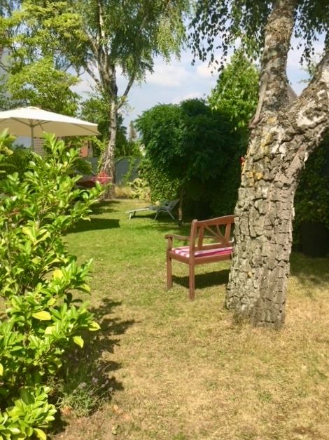 Garten mit Holzbank, Bäumen, Sträuchern und Sonnenschirm auf grünem Rasen.