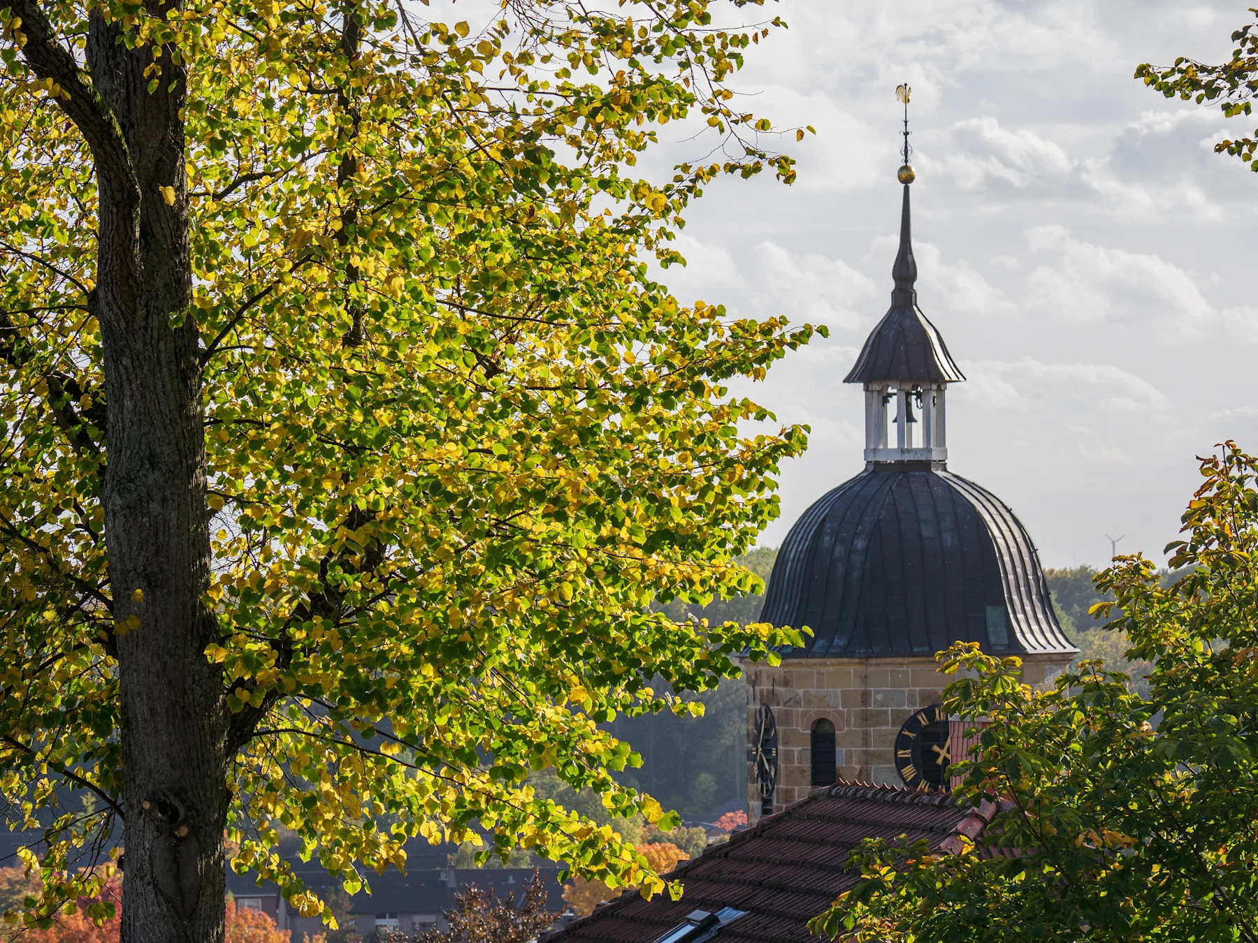 Ein Baum im Vordergrund, im Hintergrund ein Turm mit Uhr und Kuppeldach.