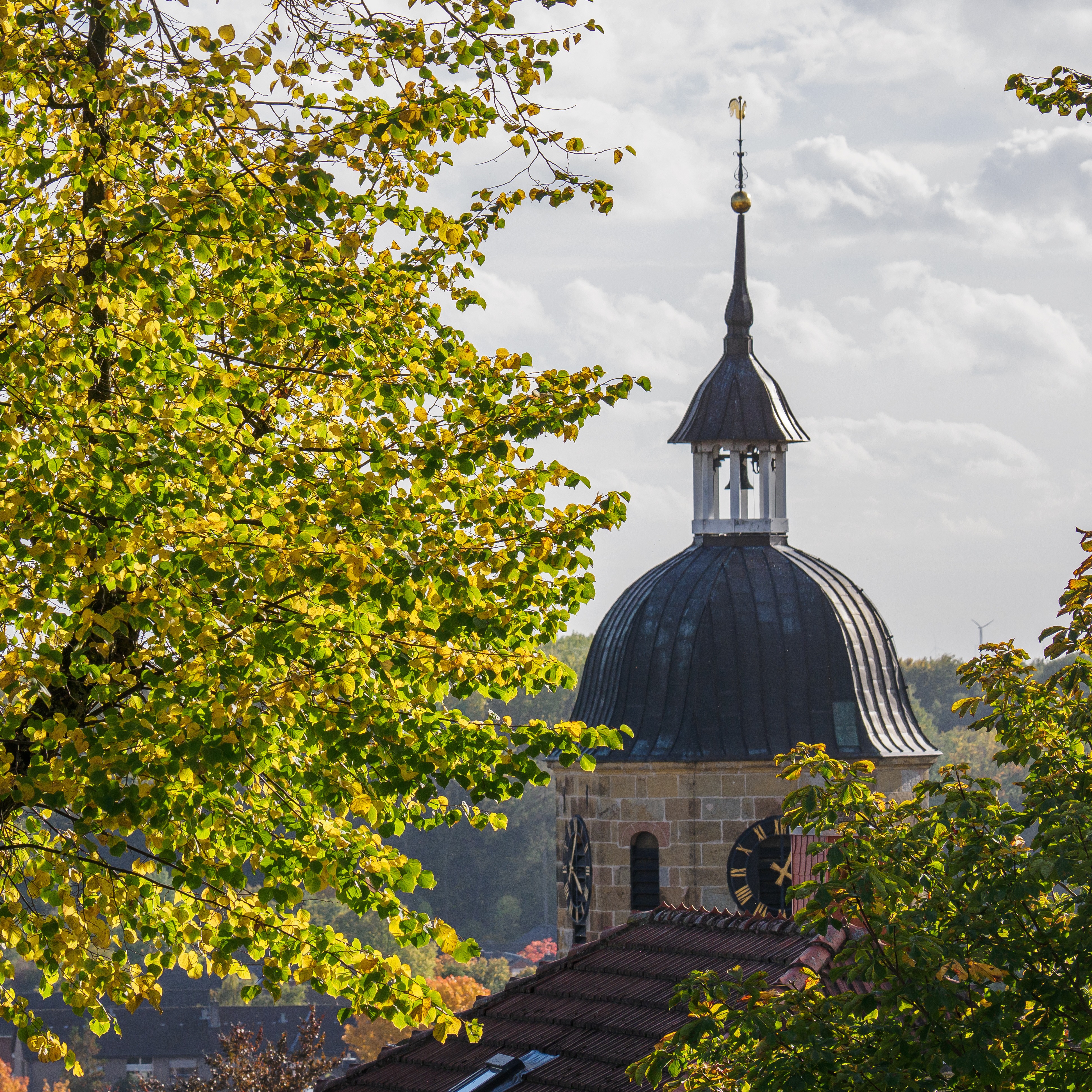 Ein Baum im Vordergrund, im Hintergrund ein Turm mit Uhr und Kuppeldach.