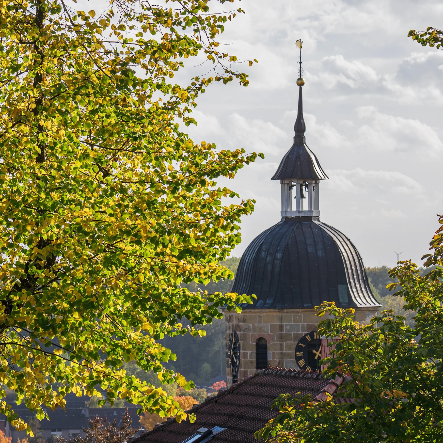 Ein Baum im Vordergrund, im Hintergrund ein Turm mit Uhr und Kuppeldach.