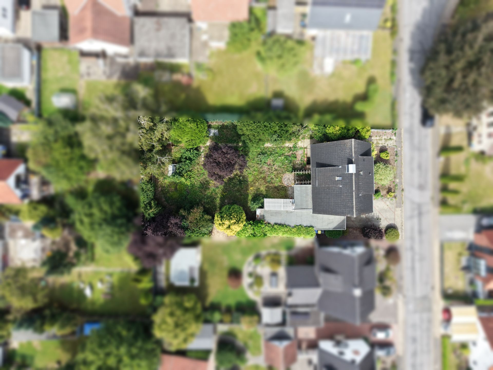 Luftaufnahme eines Hauses mit großem Garten und umliegenden Wohngebäuden.