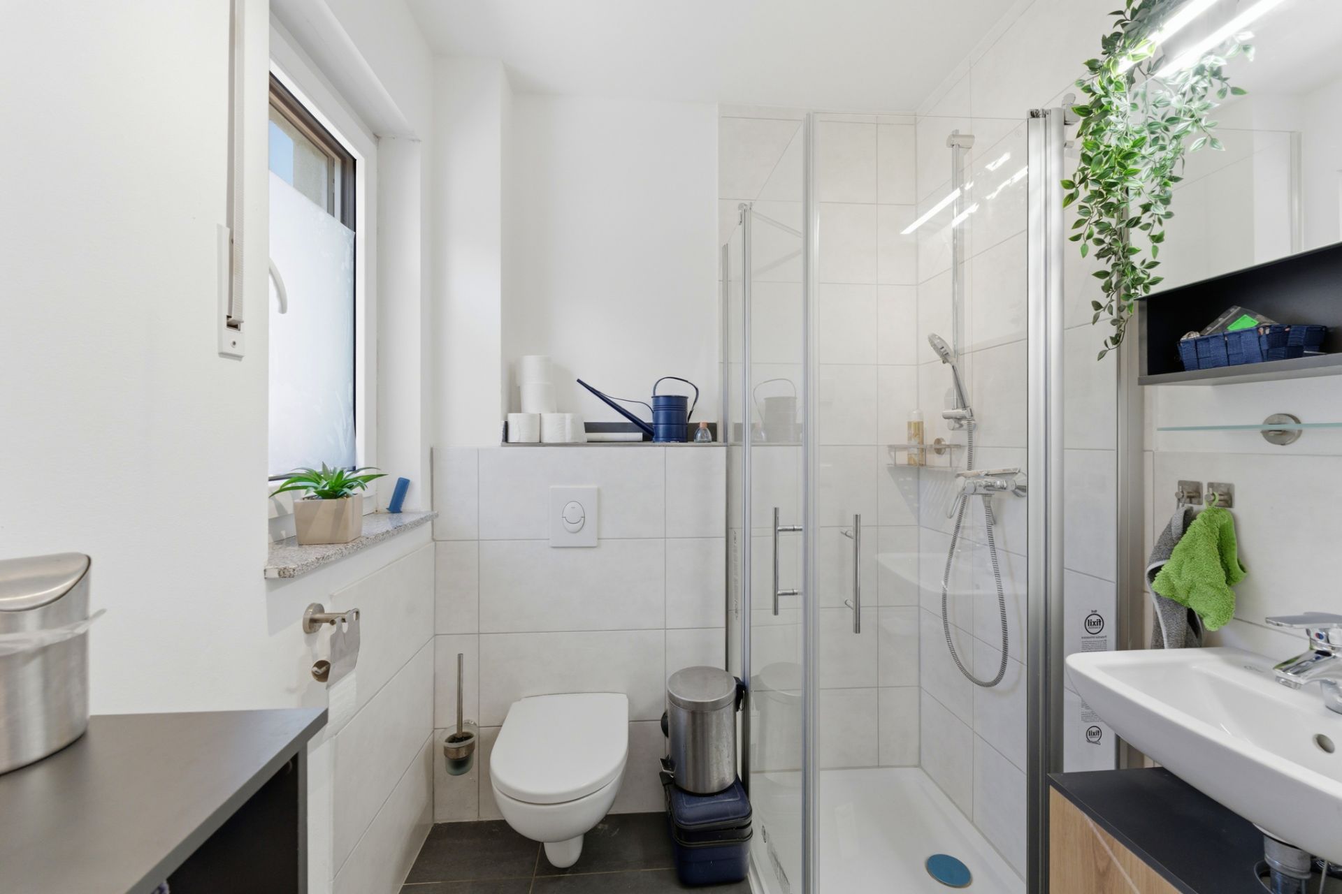 Modernes Badezimmer mit Dusche, WC, Fenster, Waschbecken und Regal mit Pflanze.
