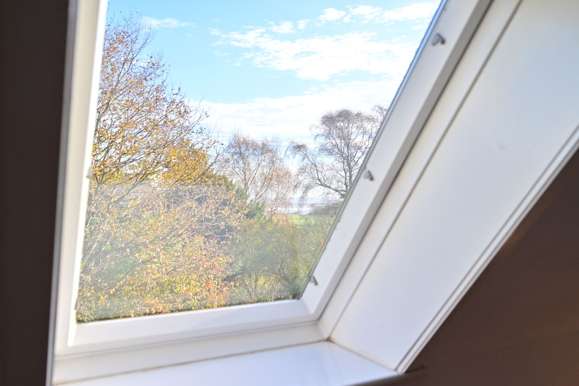 Blick durch ein Dachfenster auf Bäume und blauen Himmel.