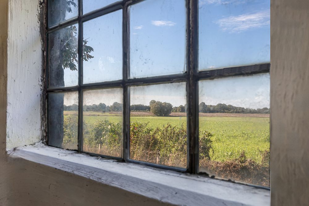 Blick durch ein Fenster auf grüne Wiesen und Bäume unter blauem Himmel.
