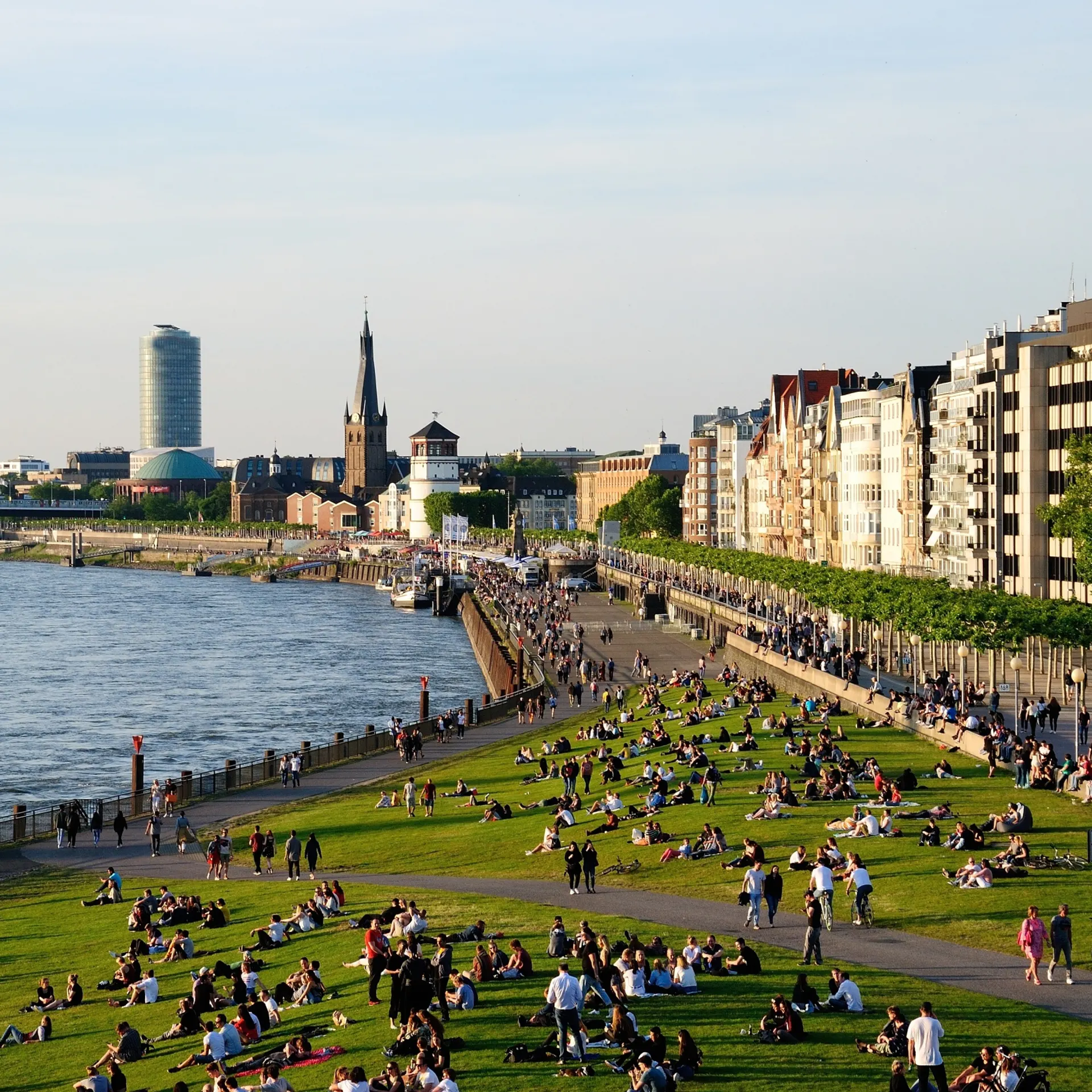 Viele Menschen sitzen und liegen auf einer grünen Wiese am Fluss, mit Stadthäusern im Hintergrund.