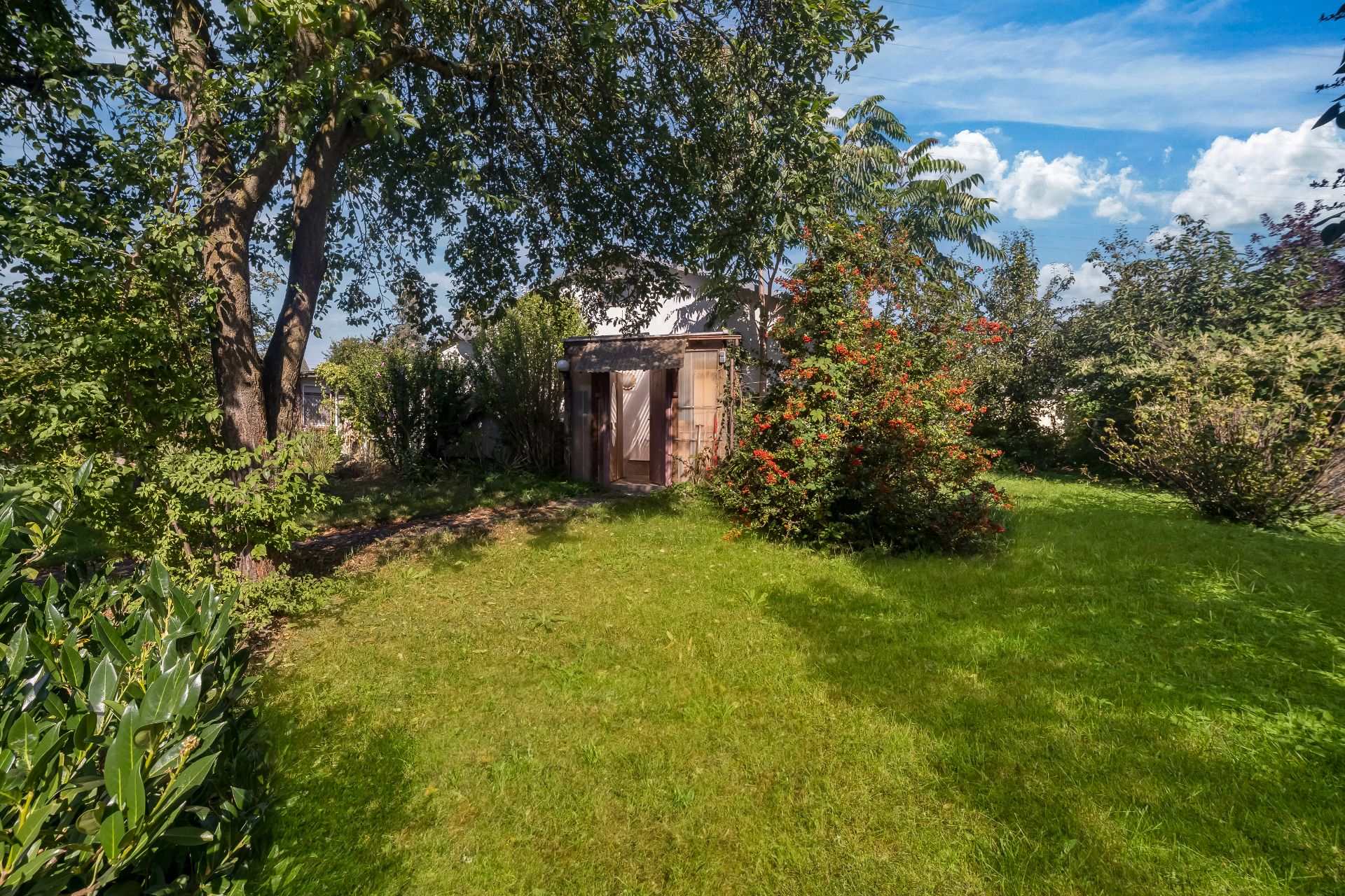 Grüner Garten mit Bäumen, Sträuchern und einem kleinen Holzschuppen im Hintergrund.