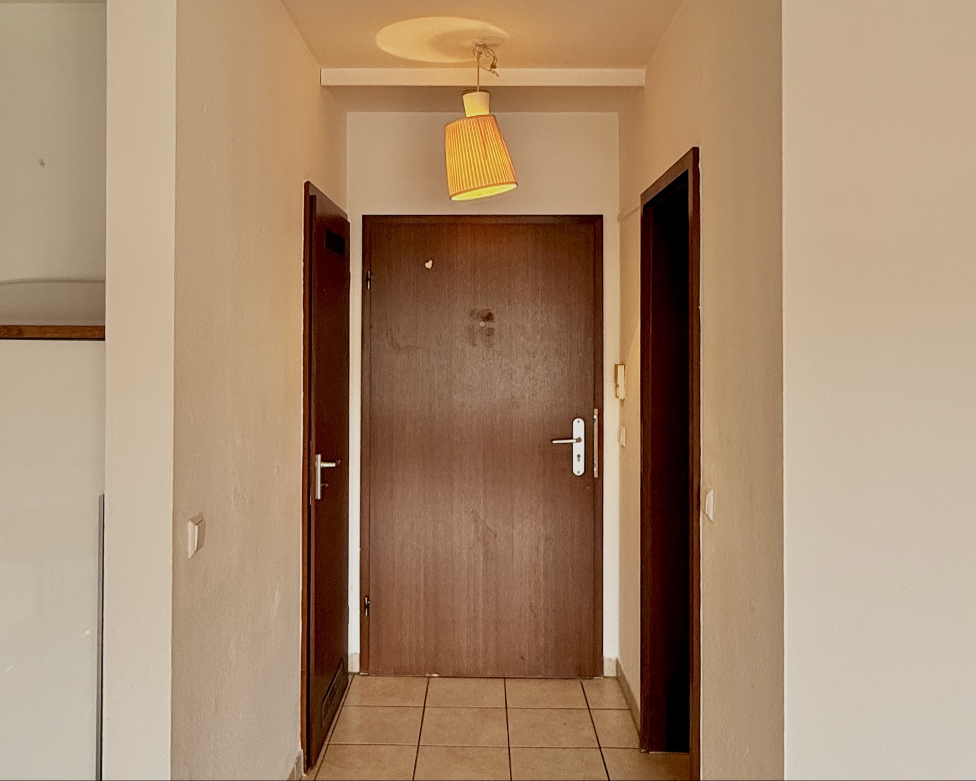 Flur mit brauner Eingangstür, zwei Seitentüren und heller Hängelampe an der Decke.