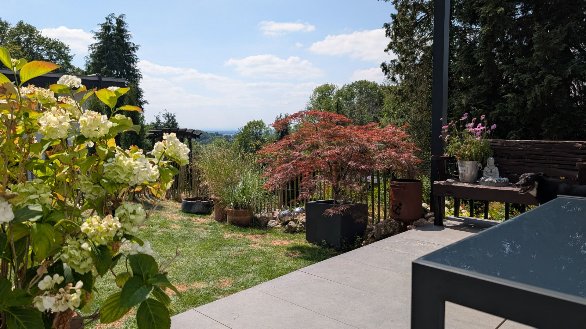 Terrasse mit Gartenblick, Blumen, Pflanzenkübeln und einem Tisch bei sonnigem Wetter.