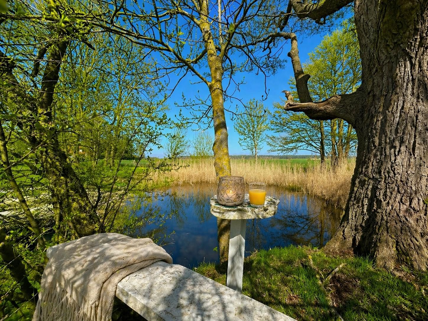 Steinbank mit Decke an einem kleinen Teich, Glas Saft und Kerze auf einem kleinen Tisch, umgeben von Bäumen.