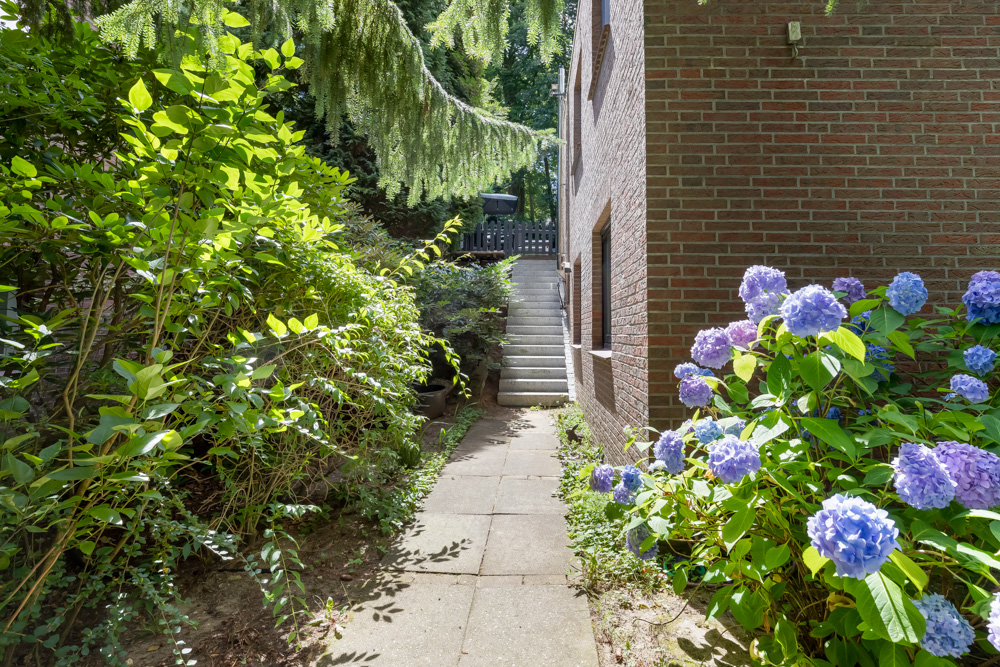 Gepflasterter Gartenweg mit lila Hortensien und Büschen neben einem Ziegelhaus.
