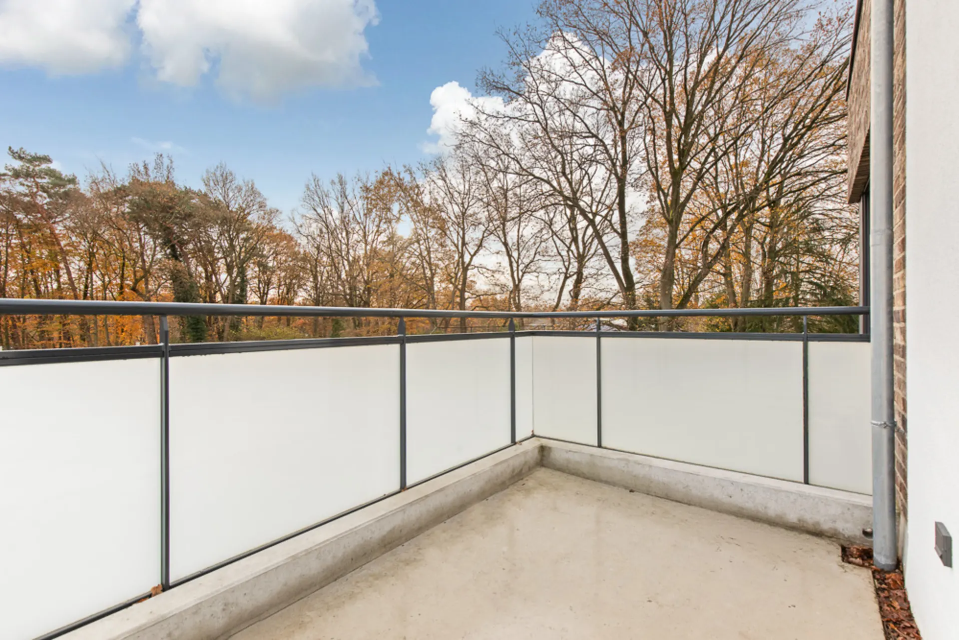 Moderner Balkon mit Milchglasgeländer, Ausblick auf Bäume im Herbst.