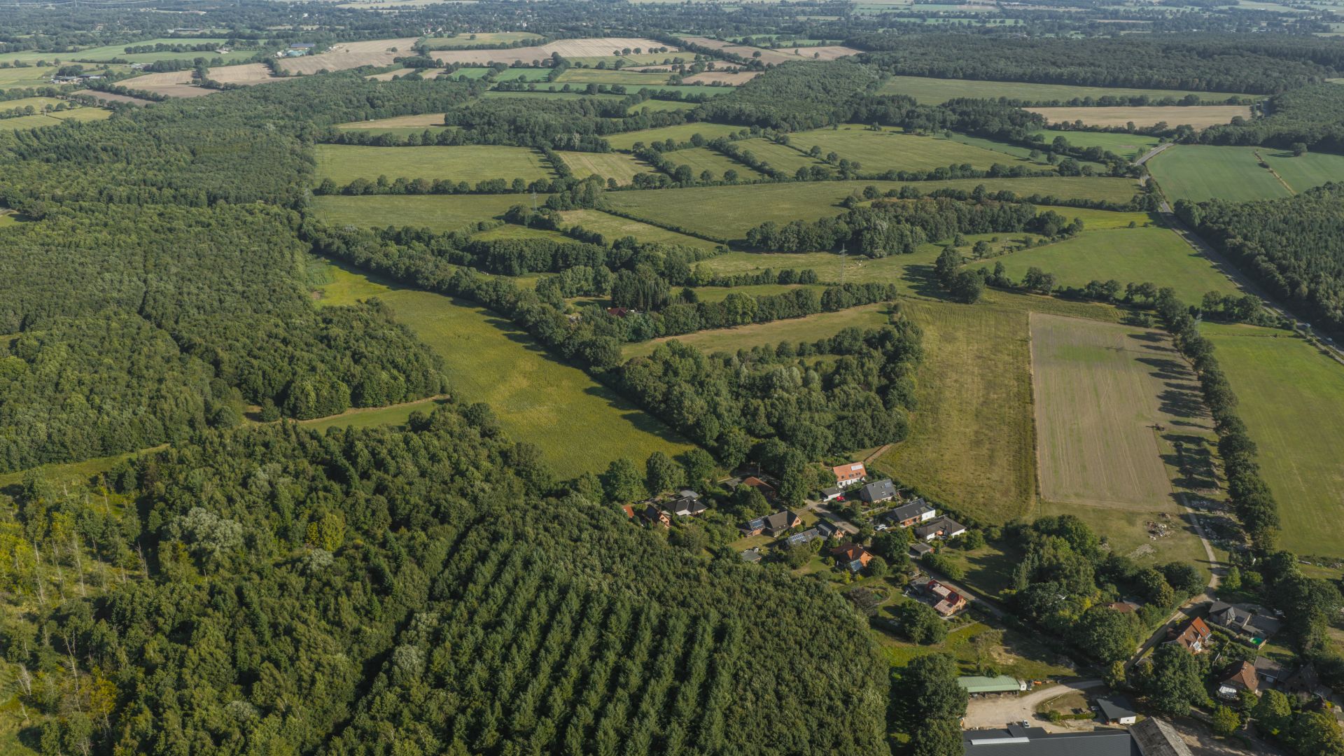 Luftaufnahme von Feldern, Wäldern und einem kleinen Dorf mit Häusern.