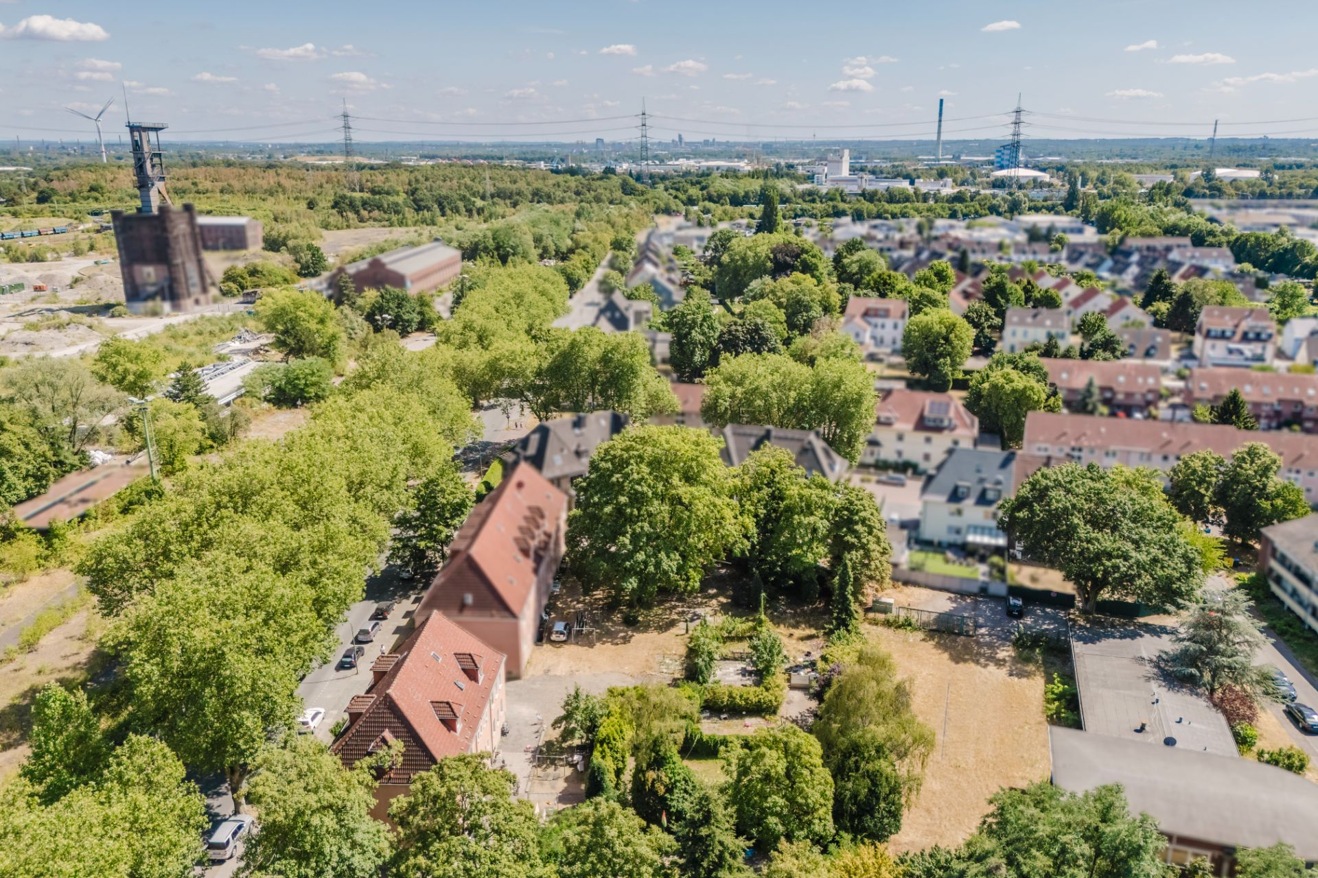 Luftaufnahme eines Wohngebiets mit vielen Bäumen und Häusern.