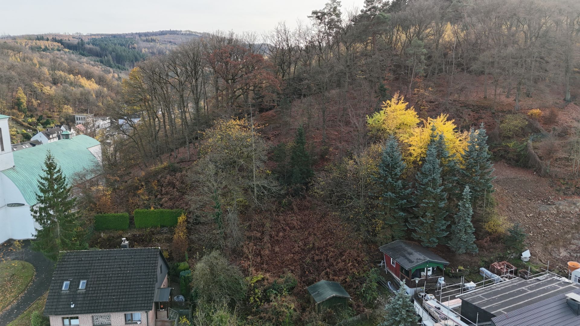 Häuser am Waldrand mit herbstlichen Bäumen und Hügel im Hintergrund.