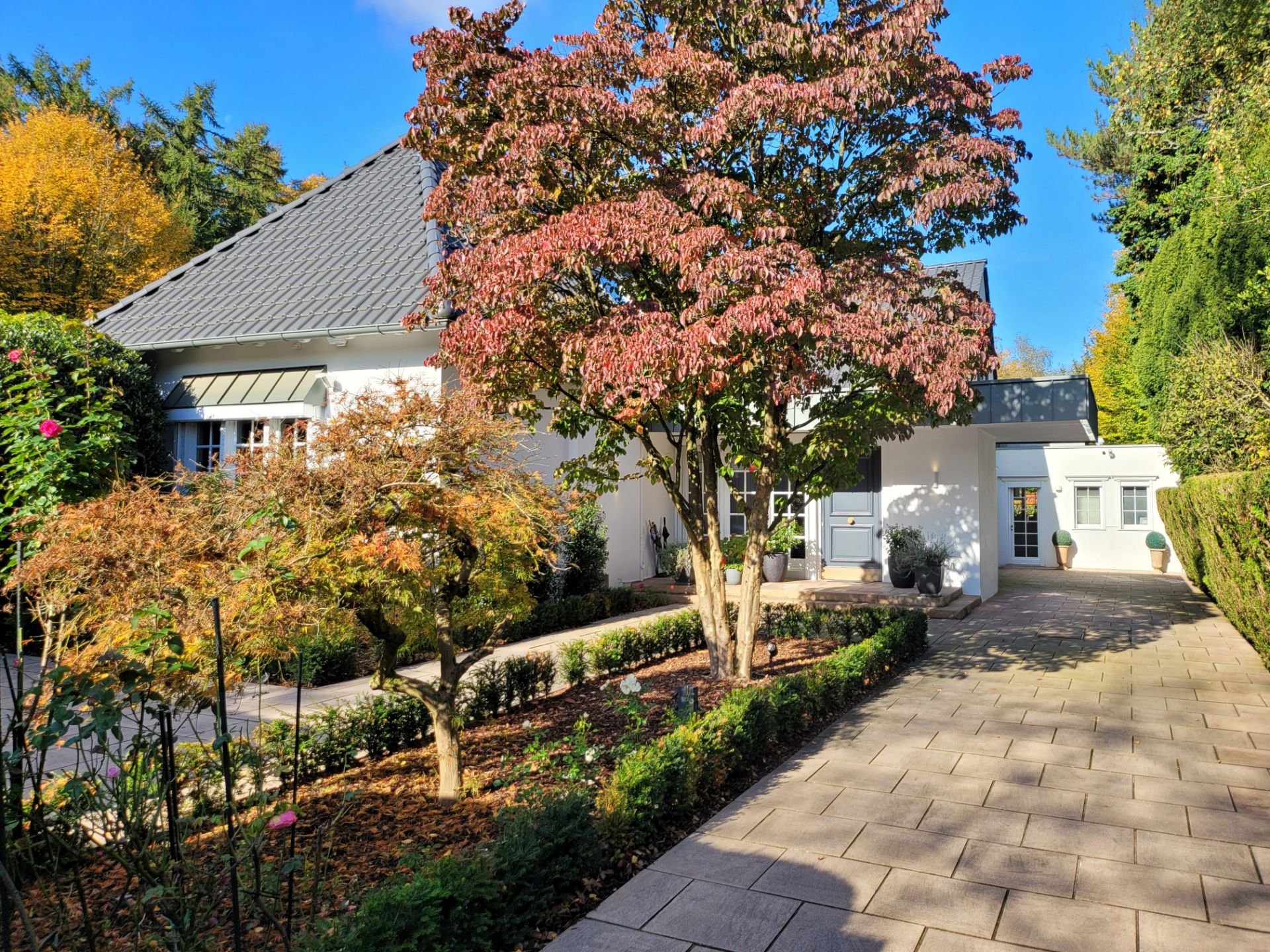 Gepflasterte Einfahrt zu einem weißen Haus, umgeben von Bäumen und Gartenpflanzen.