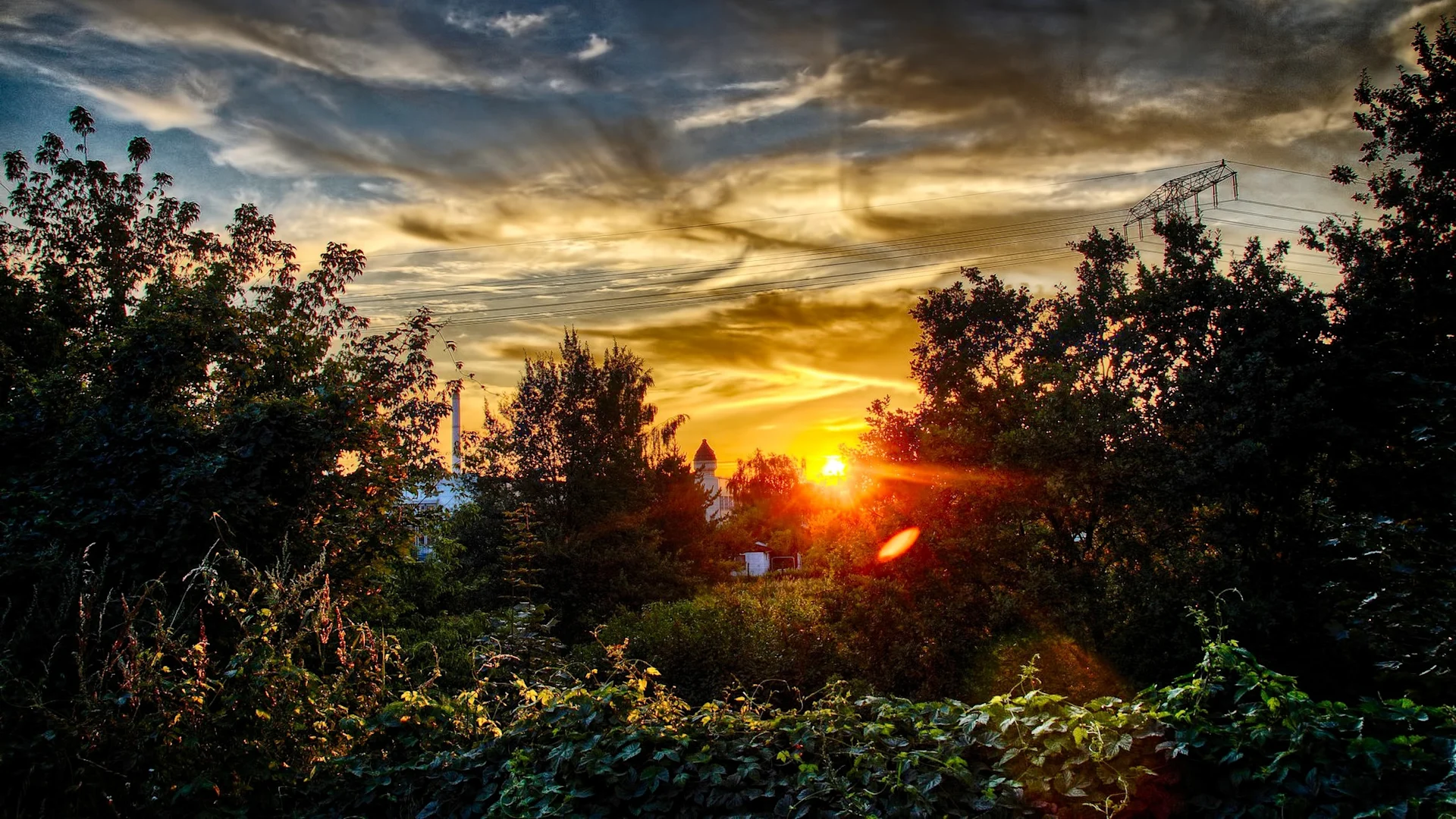 Sonnenuntergang hinter Bäumen und Sträuchern mit Strommasten am Himmel.