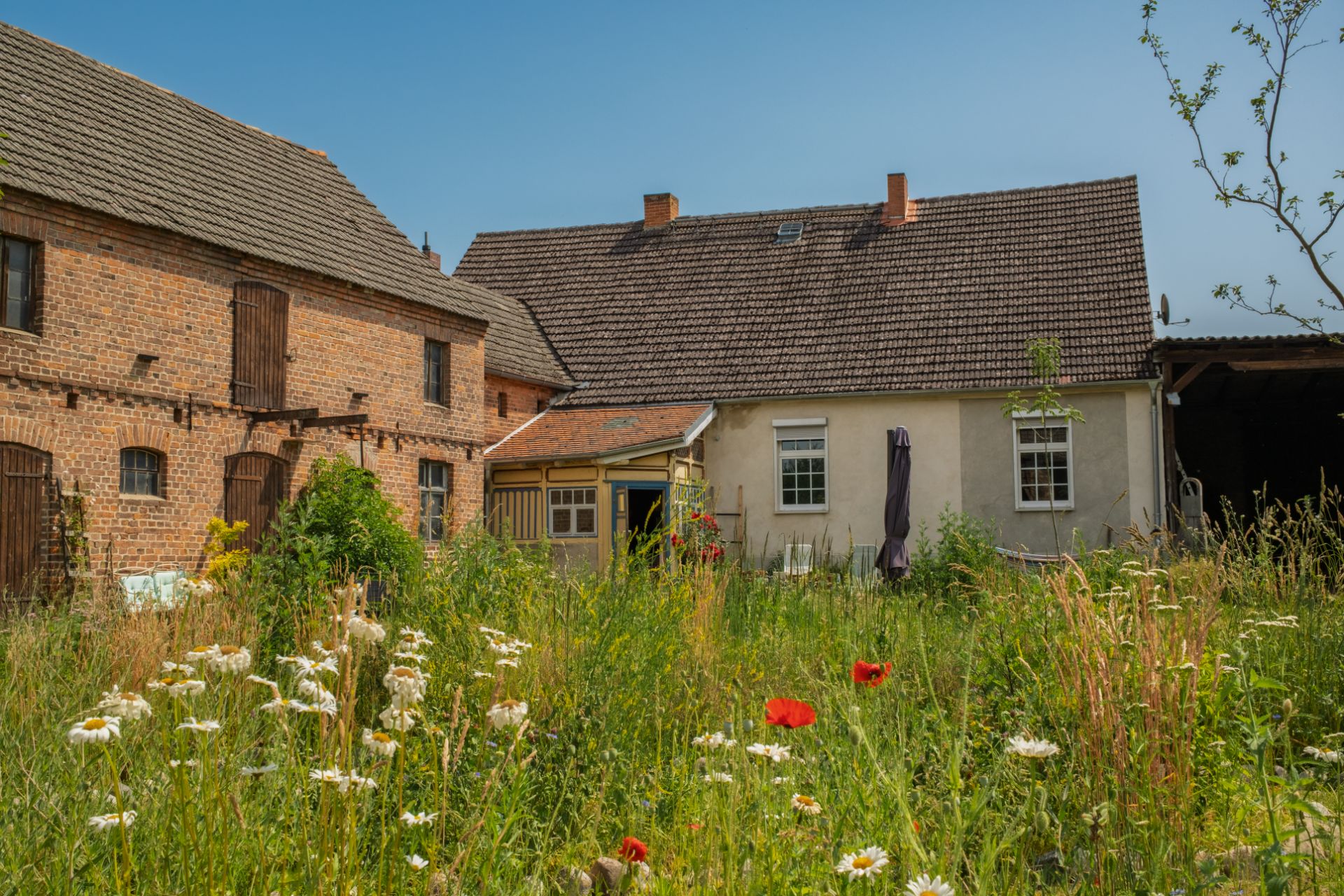 Wohnhaus mit Ziegeldach und großem, wild bewachsenen Garten im Vordergrund.