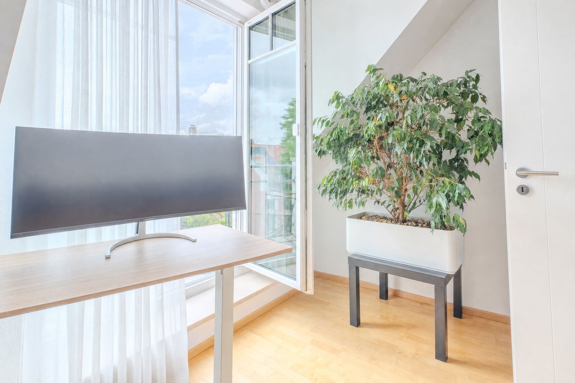 Ein Schreibtisch mit Monitor steht neben einer großen Pflanze vor einem offenen Fenster.