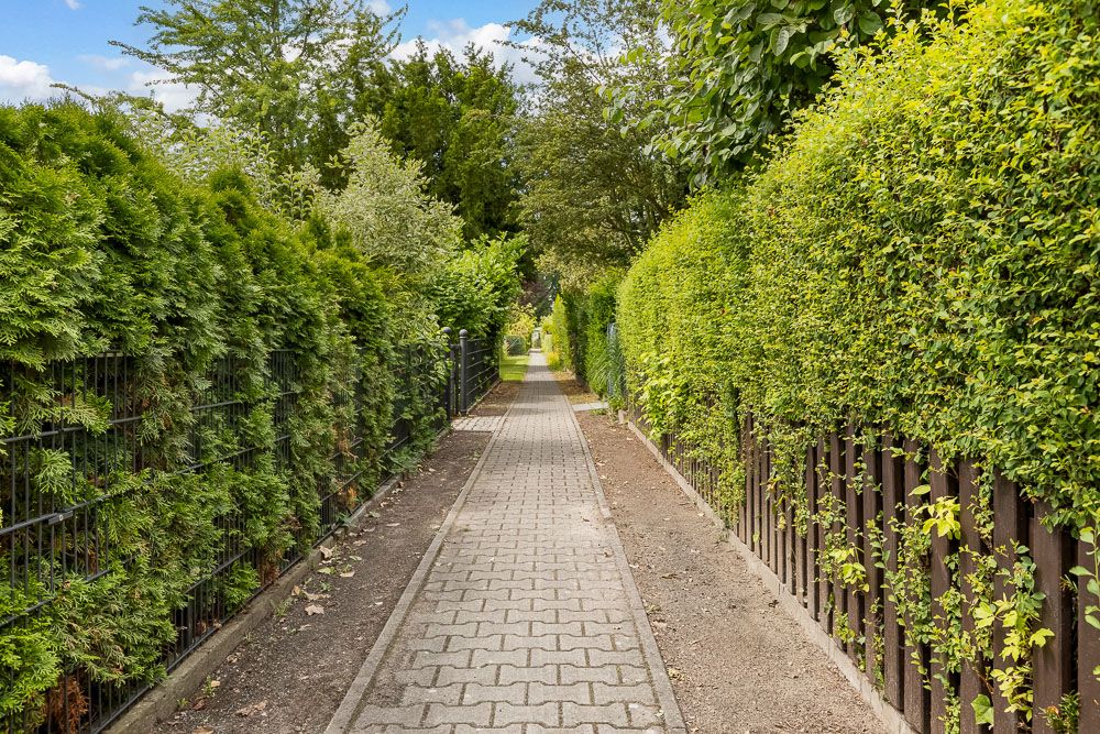 Gepflasterter Weg zwischen hohen grünen Hecken und Zäunen in einer Wohngegend.