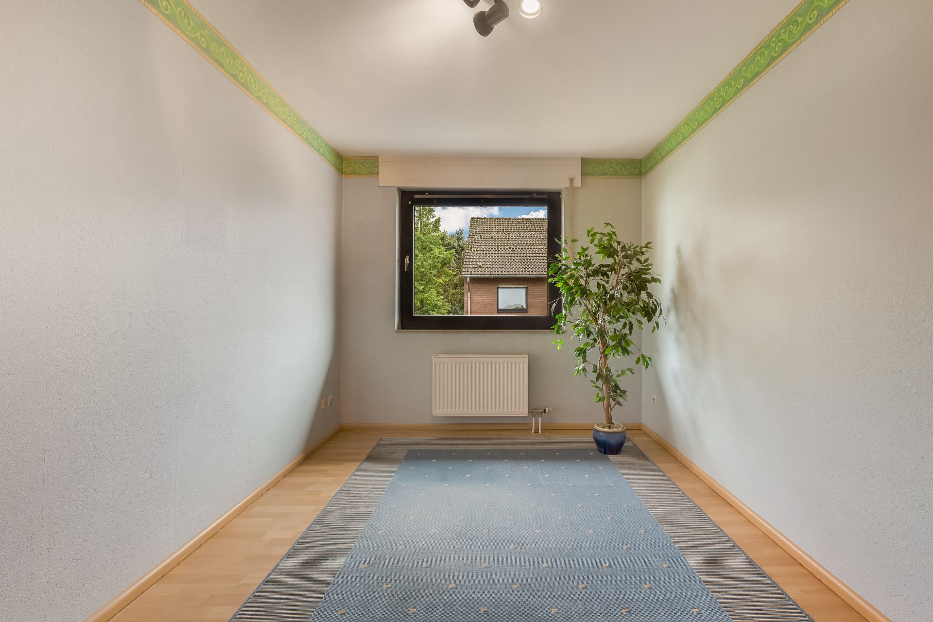 Schmaler Raum mit blauem Teppich, Fenster, Heizkörper und einer Pflanze im Topf.