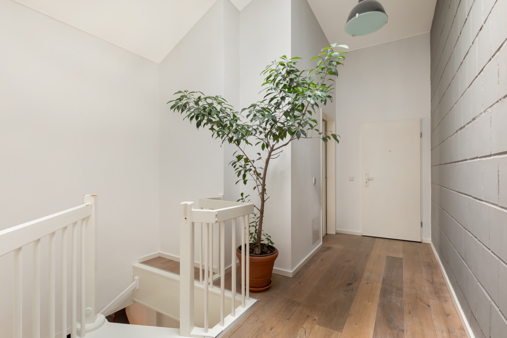 Heller Flur mit Holzboden, Treppe, großer Pflanze im Topf und weißen Türen.