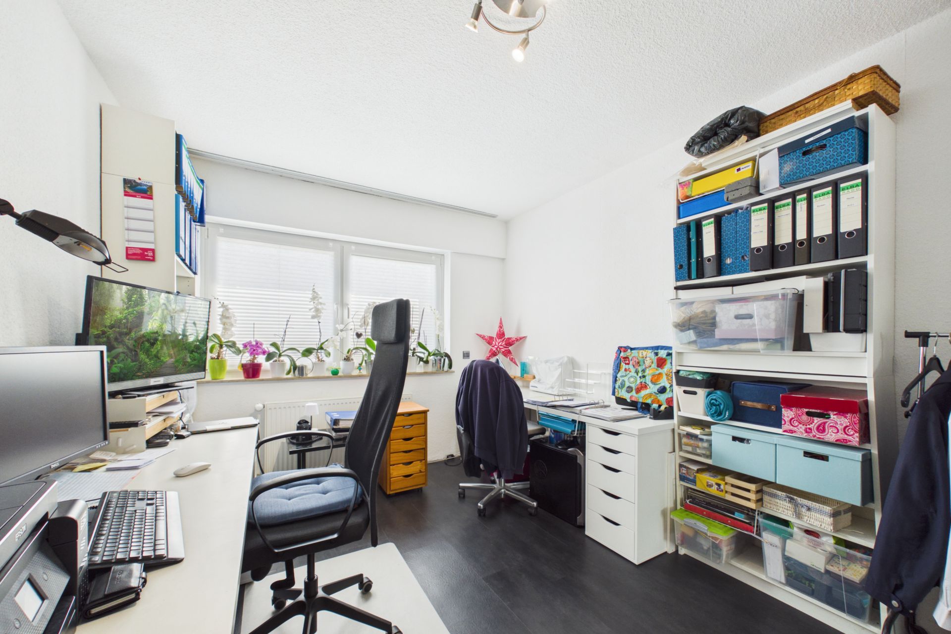 Helles Arbeitszimmer mit zwei Schreibtischen, Regalen und bunten Ordnern, vor großen Fenstern mit Pflanzen.