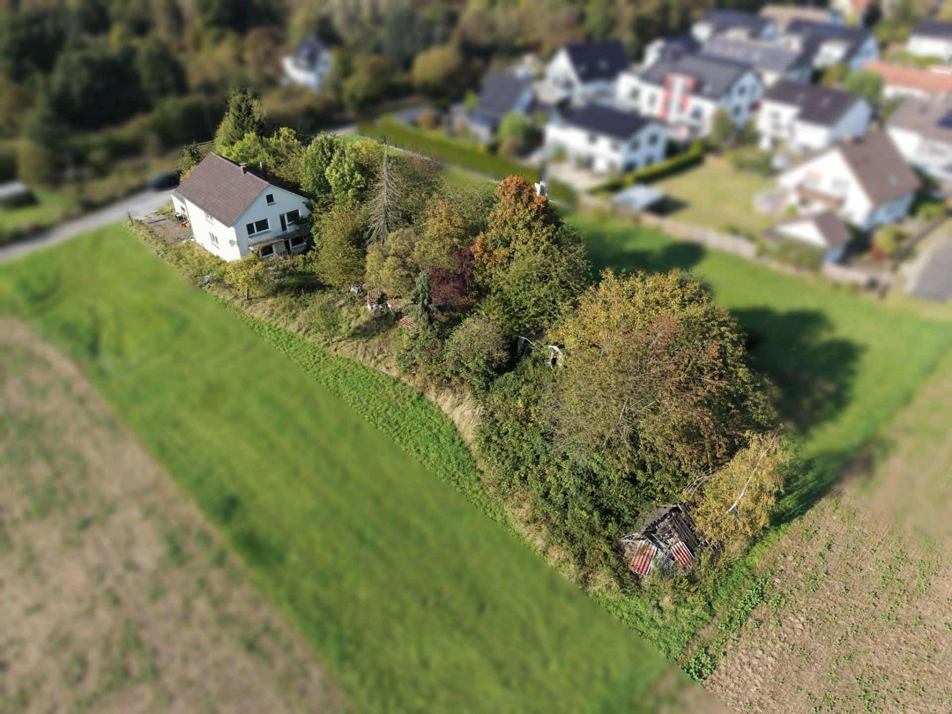 Luftaufnahme eines Einfamilienhauses mit Garten und Bäumen auf einem großen grünen Grundstück.