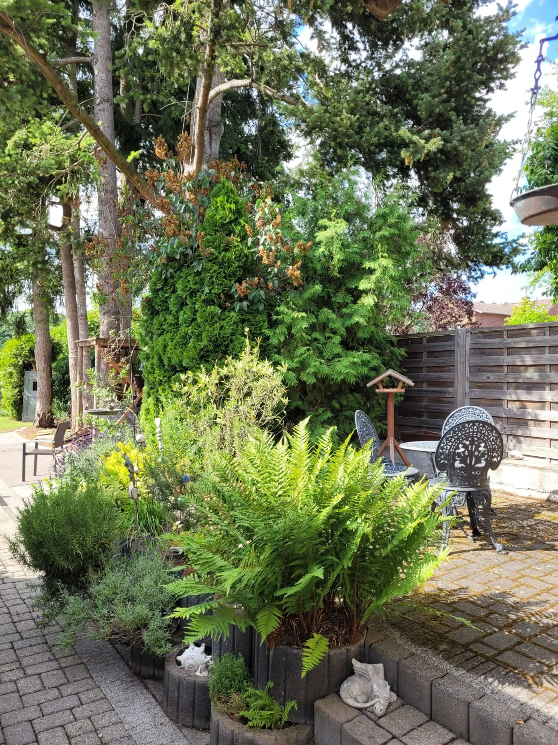 Garten mit vielen Pflanzen, Sitzbereich mit Metallstühlen und ein Holzzaun im Hintergrund.