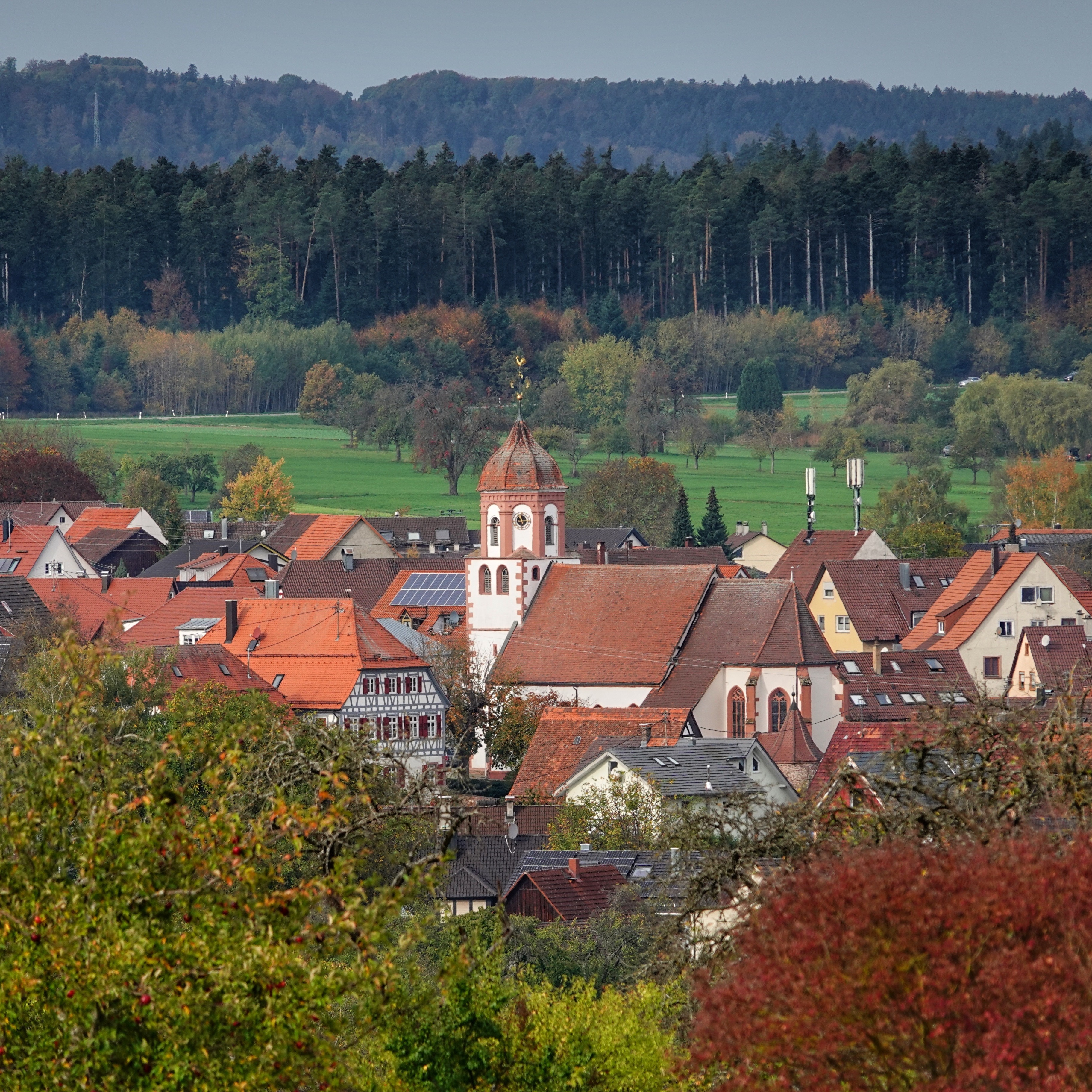 Blick auf ein Dorf mit roten Dächern, einer Kirche und Wald im Hintergrund.
