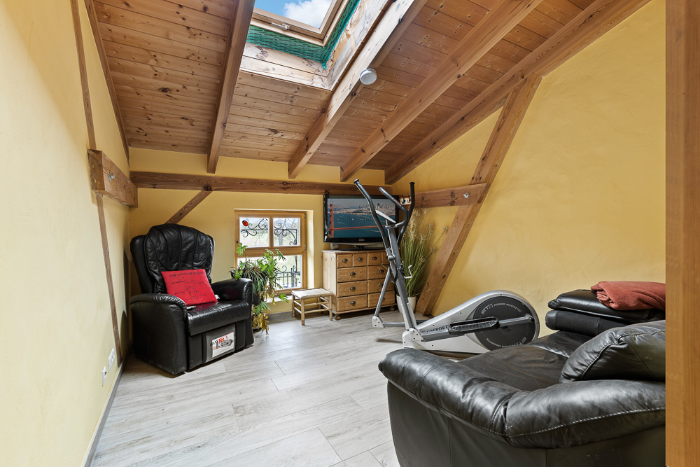 Wohnraum mit Dachschrägen, Ledersesseln, TV, Kommode, Crosstrainer und Dachfenster.