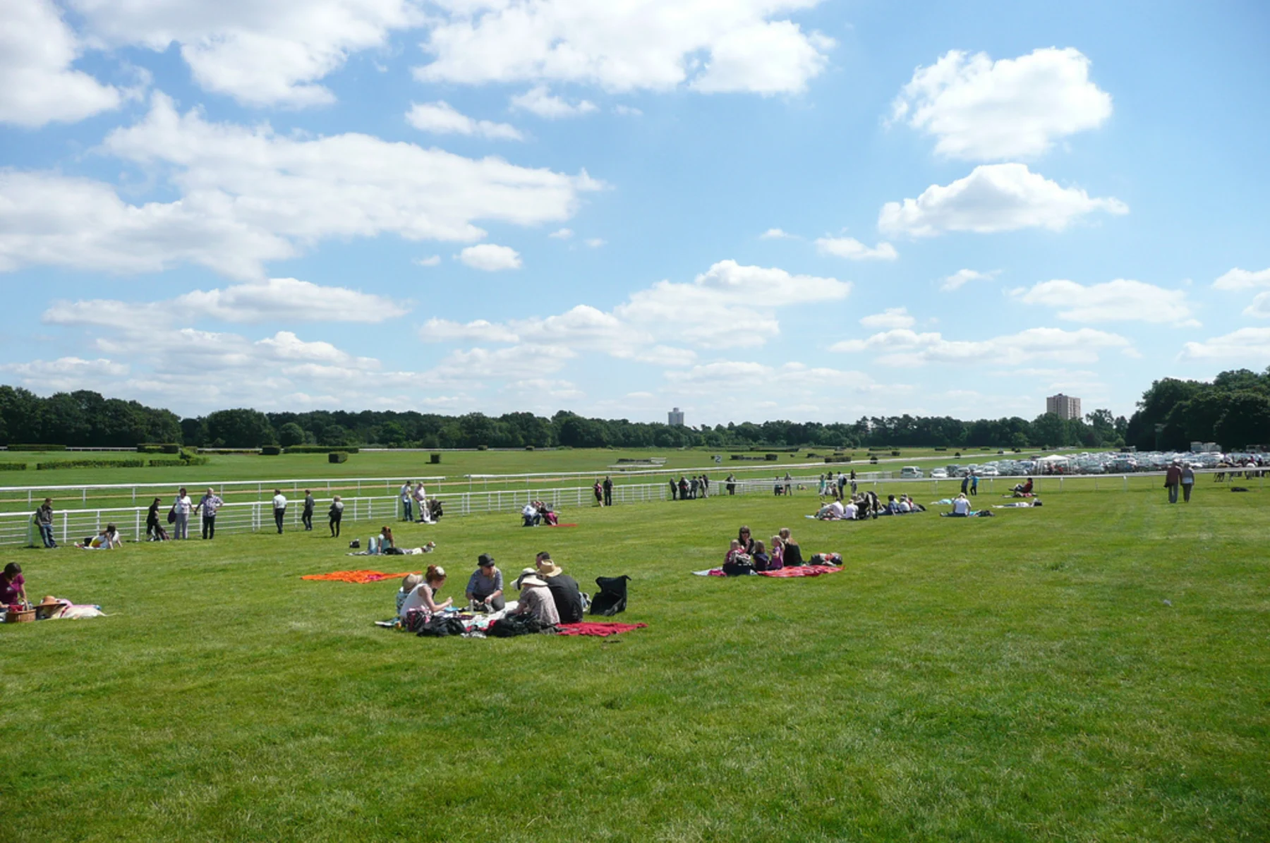Menschen sitzen auf Picknickdecken auf einer großen grünen Wiese unter blauem Himmel mit Wolken.