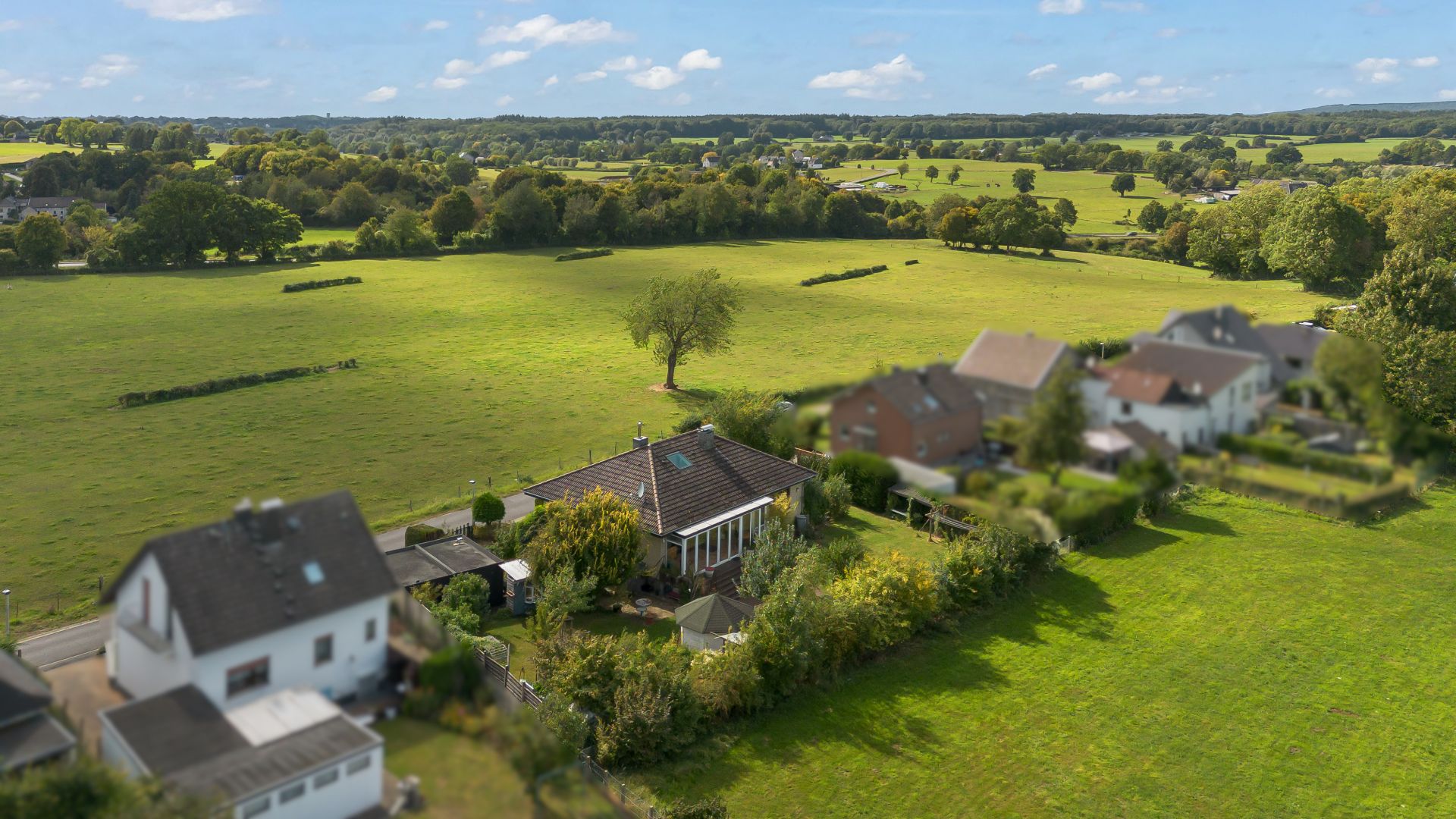 Luftaufnahme von Wohnhäusern am Rande einer großen, grünen Wiese mit Bäumen im Hintergrund.
