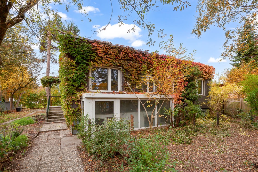 Zweistöckiges Haus mit großen Fenstern, bewachsen mit Efeu, umgeben von herbstlichem Garten.