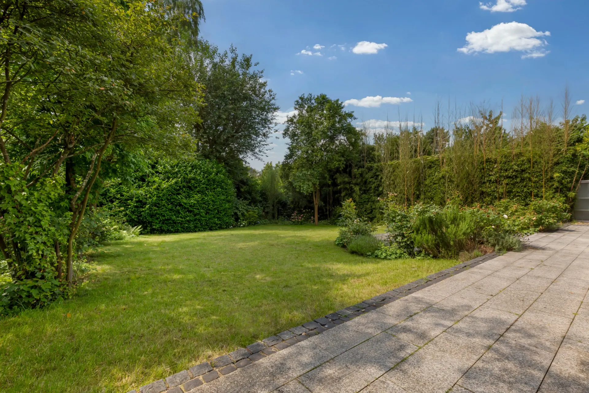 Garten mit Rasenfläche, Bäumen und Sträuchern neben einer gepflasterten Terrasse.