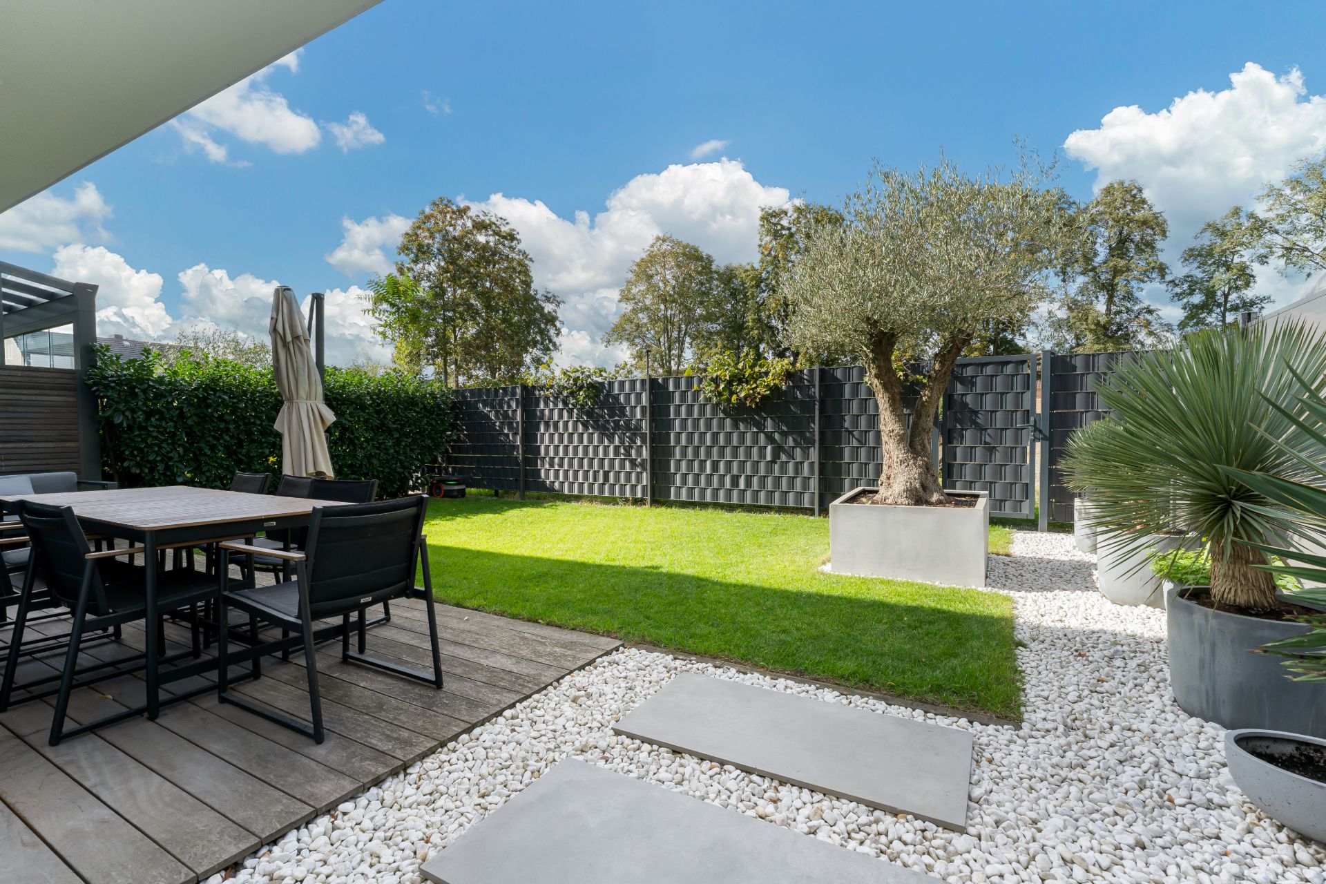 Moderner Garten mit Terrasse, Tisch und Stühlen sowie Baum im großen Pflanzkübel.