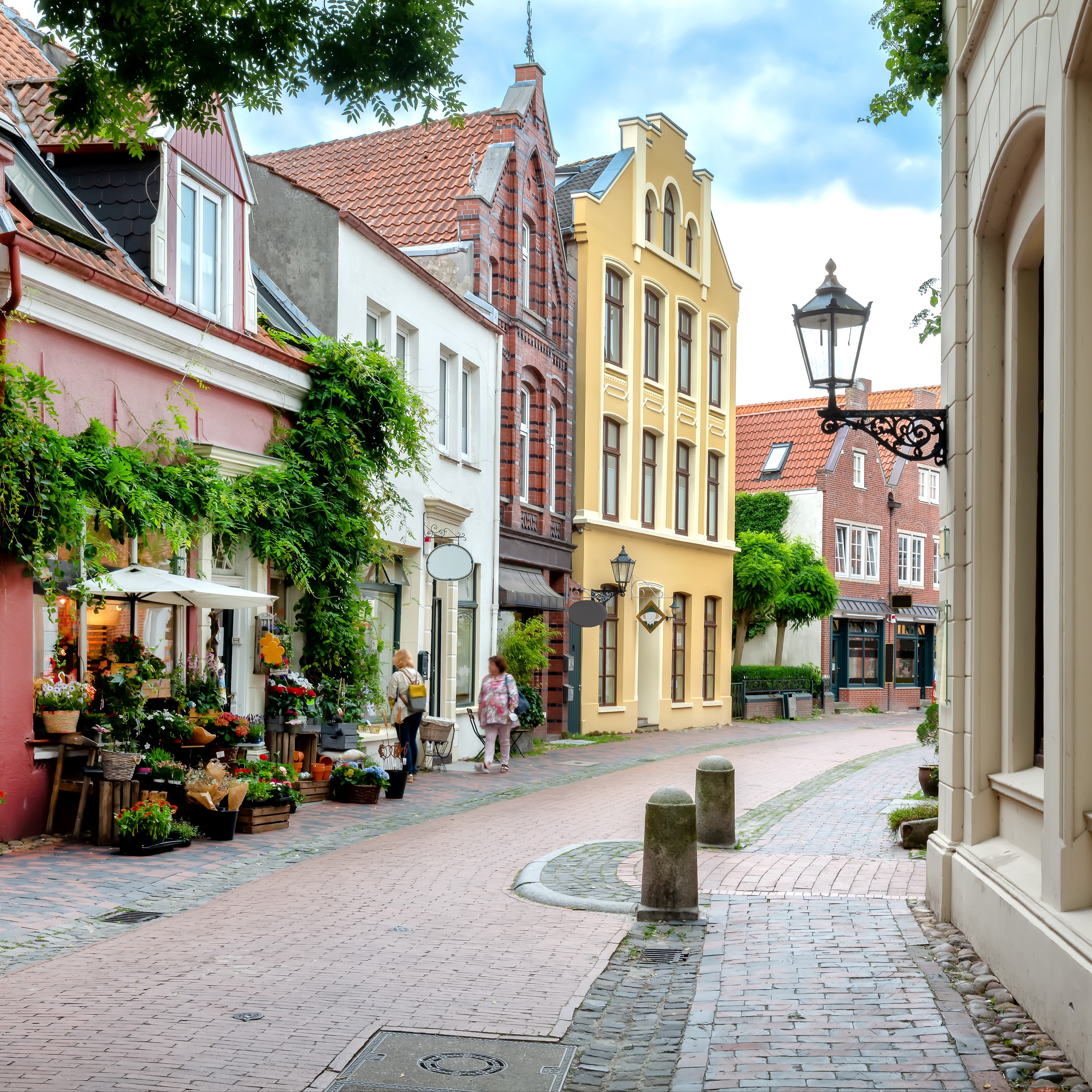 Gepflasterte Straße mit alten Wohnhäusern, Blumenladen und Bäumen an einem sonnigen Tag.