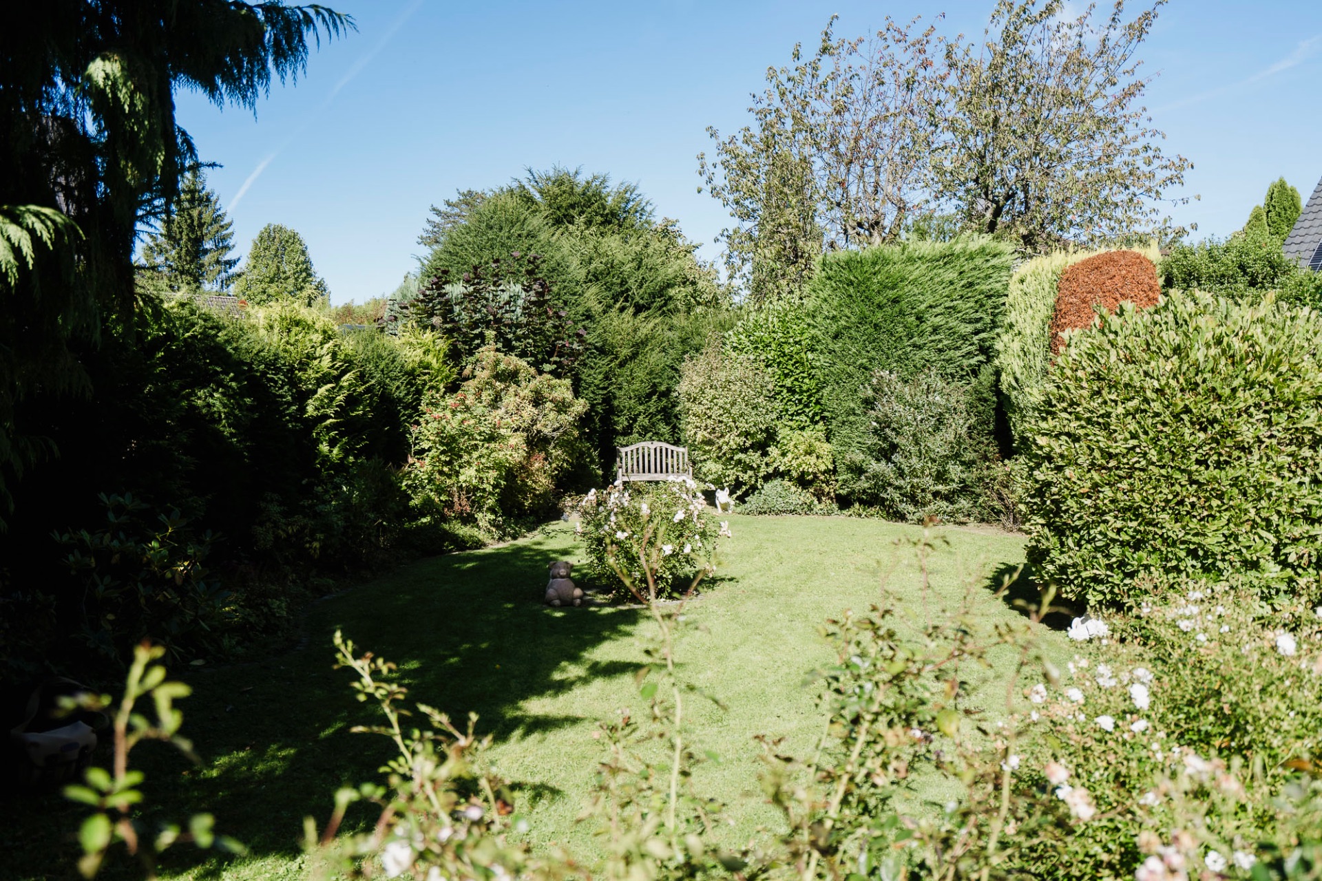 Grüner Garten mit Rasenfläche, umgeben von Büschen, Bäumen und einer Holzbank im Hintergrund.